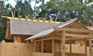 WordPressの運用開始