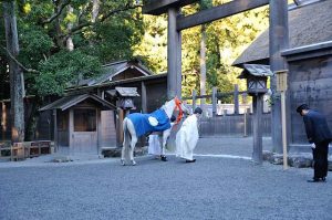 神馬のお参り
