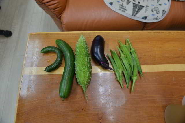 野菜収穫